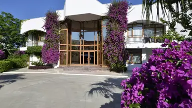 Emelda Sun Club