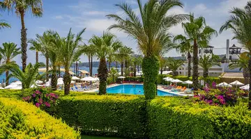 EMELDA SUN CLUB