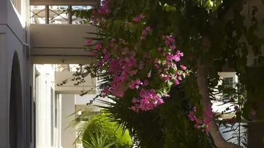 Emerald Hotel