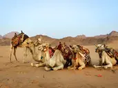Emiraty Arabskie - Dubaj jest naj - zobacz i odpocznij