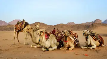 Emiraty Arabskie - Dubaj jest naj - zobacz i odpocznij
