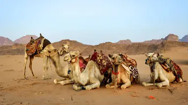 Emiraty Arabskie - Dubaj jest naj - zobacz i odpocznij