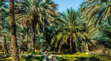 Emiraty w stylu Boho