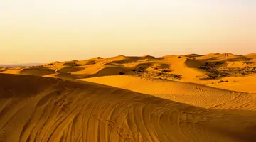 Emiraty w stylu Boho