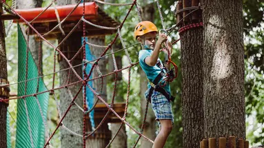 Enklawa Białowieska Forest&Spa