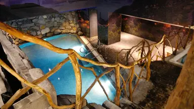 Enotel Lido All Inclusive