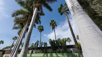 eo Maspalomas Resort