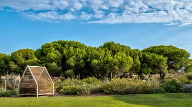 Epic Sana Algarve