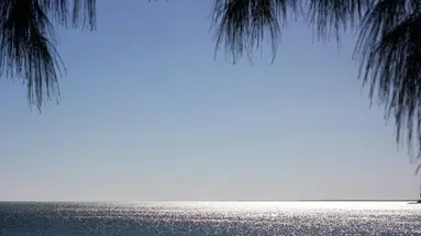 Esencja Madagaskaru