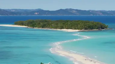 Esencja Madagaskaru