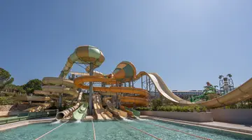 ETHNO BELEK