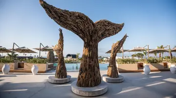 ETHNO BELEK