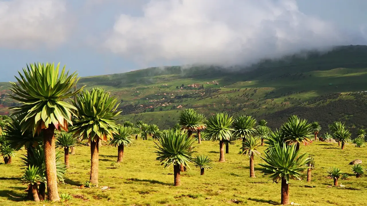 Etiopia - Królestwo Legend
