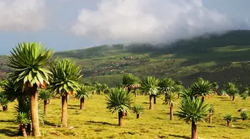 Etiopia - Królestwo Legend