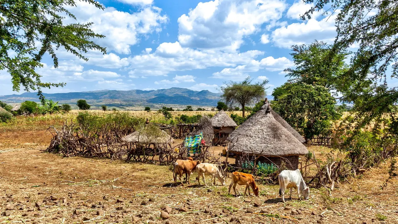 Etiopia - od Amharów do Hamerów