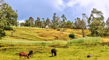 Etiopia - Plemiona Południa