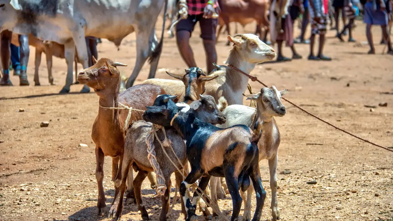 Etiopia - Plemiona Południa