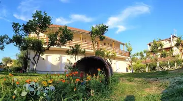 Ever Green Kavos