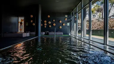 Evidencia Belverde Hotel
