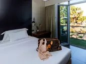 Evidencia Belverde Hotel