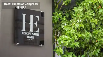 Excelsior
