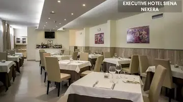 EXECUTIVE HOTEL SIENA