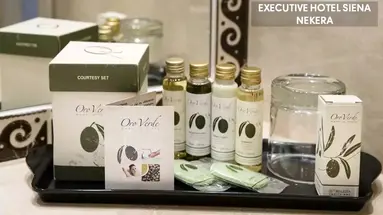 EXECUTIVE HOTEL SIENA