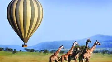 EXIM Discovery: Afrykańska Odyseja – Mombasa, Mara, Naivasha