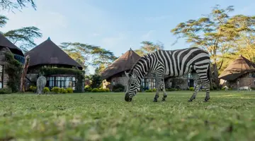 EXIM Discovery: Afrykańska Odyseja – Mombasa, Mara, Naivasha