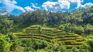 EXIM Discovery – Bali: Duchy wyspy, świątynie i tropikalny relaks (Standard)