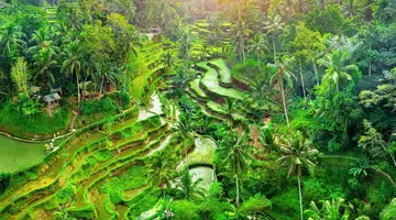 EXIM Discovery – Bali: Duchy wyspy, świątynie i tropikalny relaks (Standard)
