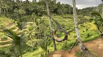 EXIM Discovery – Bali: Duchy wyspy, świątynie i tropikalny relaks (Standard)