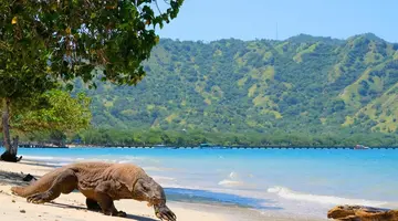 EXIM Discovery – Bali i Flores: Smoki, plaże i tropikalna przygoda