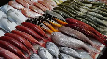 EXIM Discovery – Bali i Flores: Smoki, plaże i tropikalna przygoda