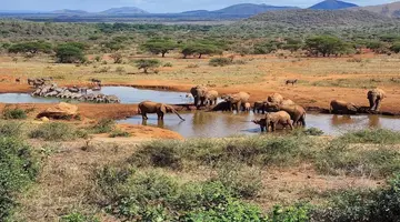 EXIM Discovery - Czerwona Ziemia i Mgły Kilimandżaro