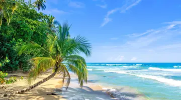 Ezgotyka Light - PURA VIDA - Kostaryka