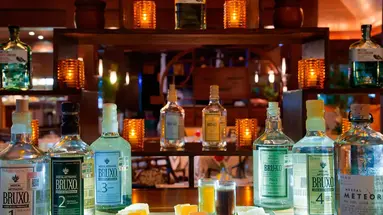 Fairmont Mayakoba Hotel 5