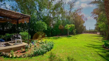 Falcon Hills