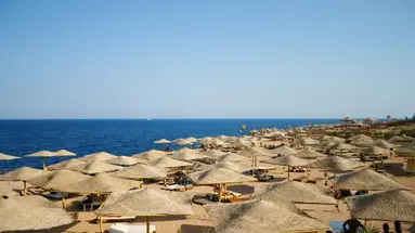 FALCON HILLS