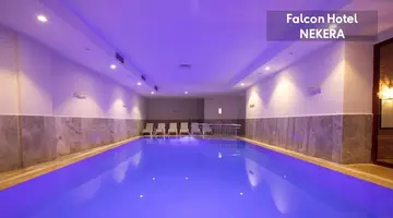 FALCON HOTEL