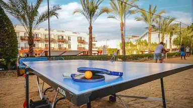 Falcon Naama Star Sharm El Sheikh