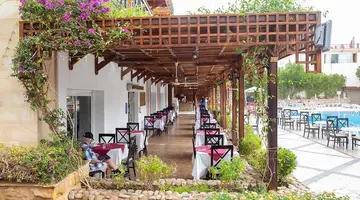 Falcon Naama Star
