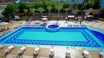 Falcon Naama Star