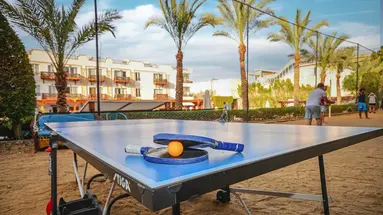 Falcon Naama Star