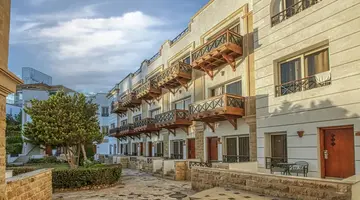Falcon Naama Star