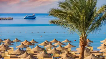 Falcon Naama Star