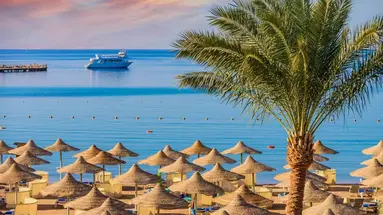 Falcon Naama Star