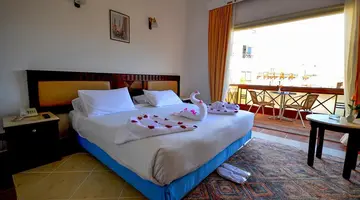 Falcon Naama Star