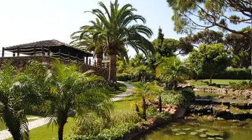 Falesia Hotel