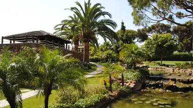 Falesia Hotel